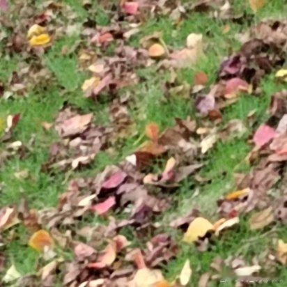 没人会把我们变得越来越好，时间也只是陪衬。支撑我们变的越来越好的是我们自己不断进