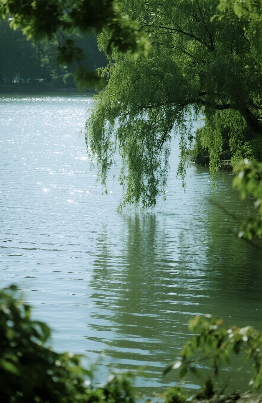 早安[心]语，美图分享
精美壁纸（804）🌈
📝夏日的灵湖公园，处处清爽明朗