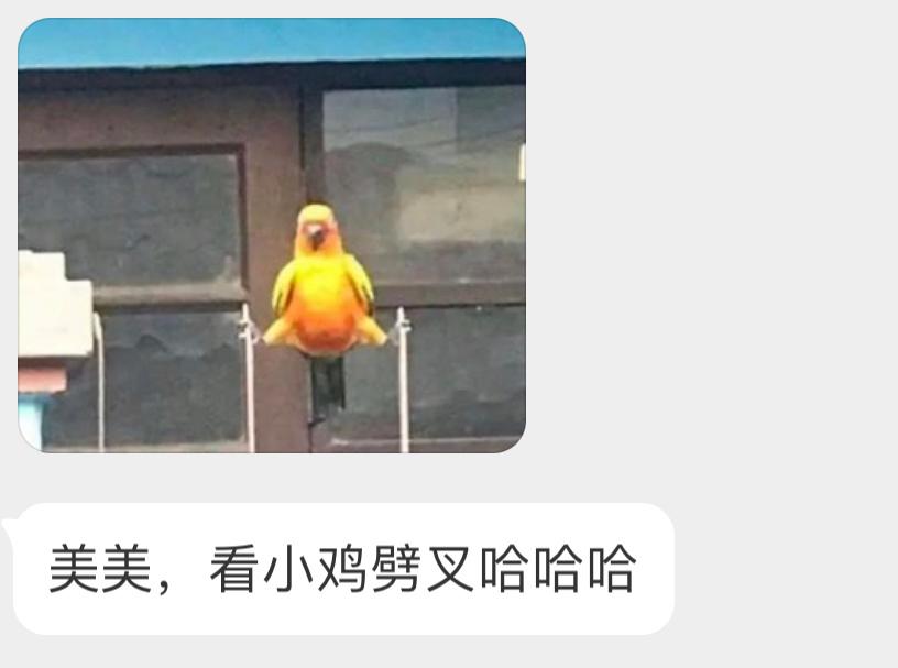 好沙雕的姿势哈哈哈 ​​​