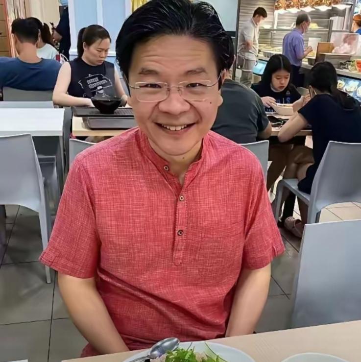新加坡的这点小心思，谁还看不明白？七成半华人用筷子，印裔不到一成，结果总统是印裔