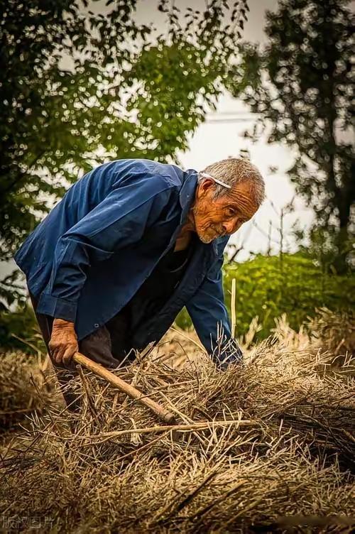 《人活了一辈子，到底为了什么？》

这是一个简单却又复杂的问题，几乎每个人一生都