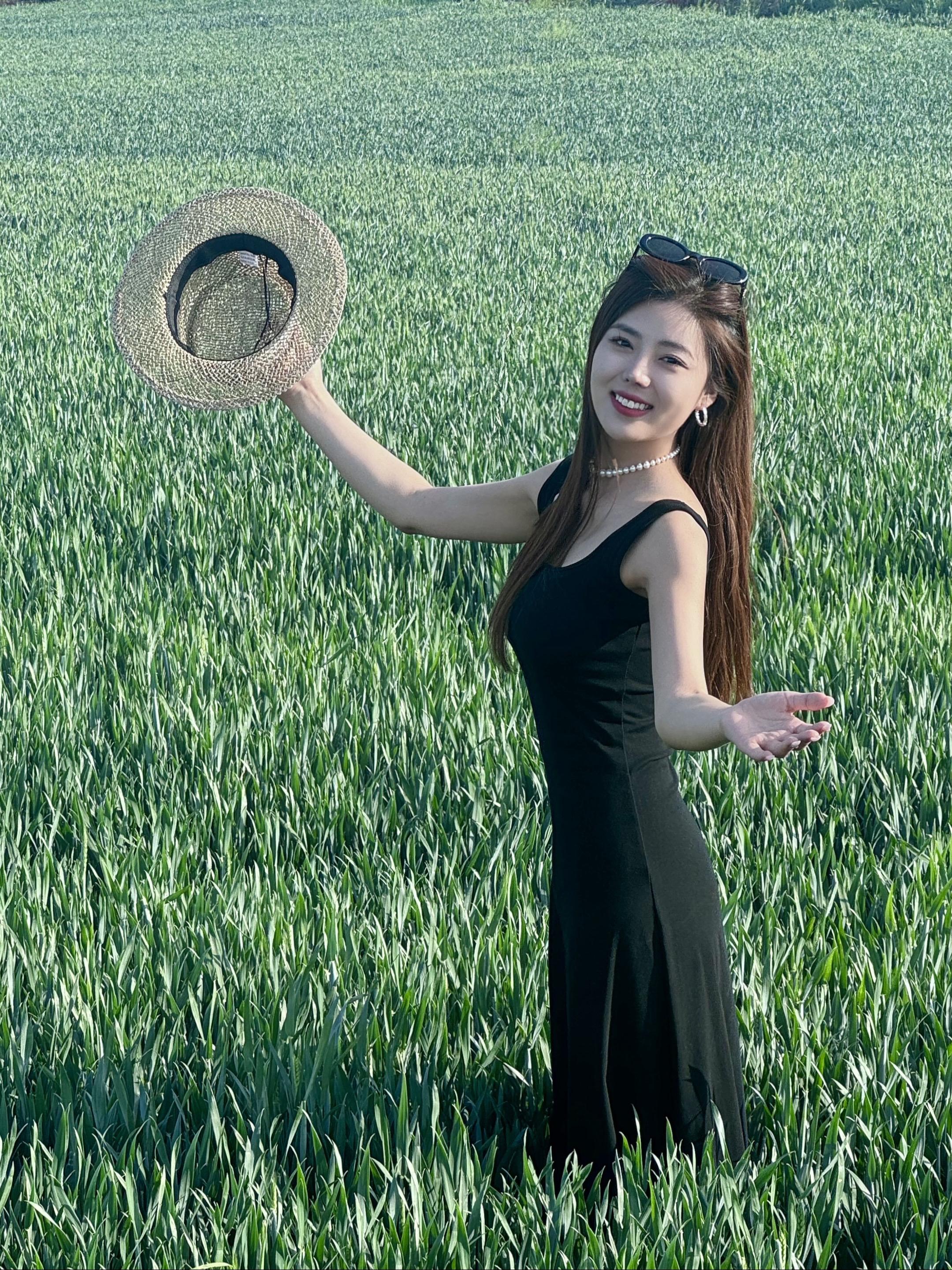 我被一阵风困在这里 你就替我摘朵索玛花走吧