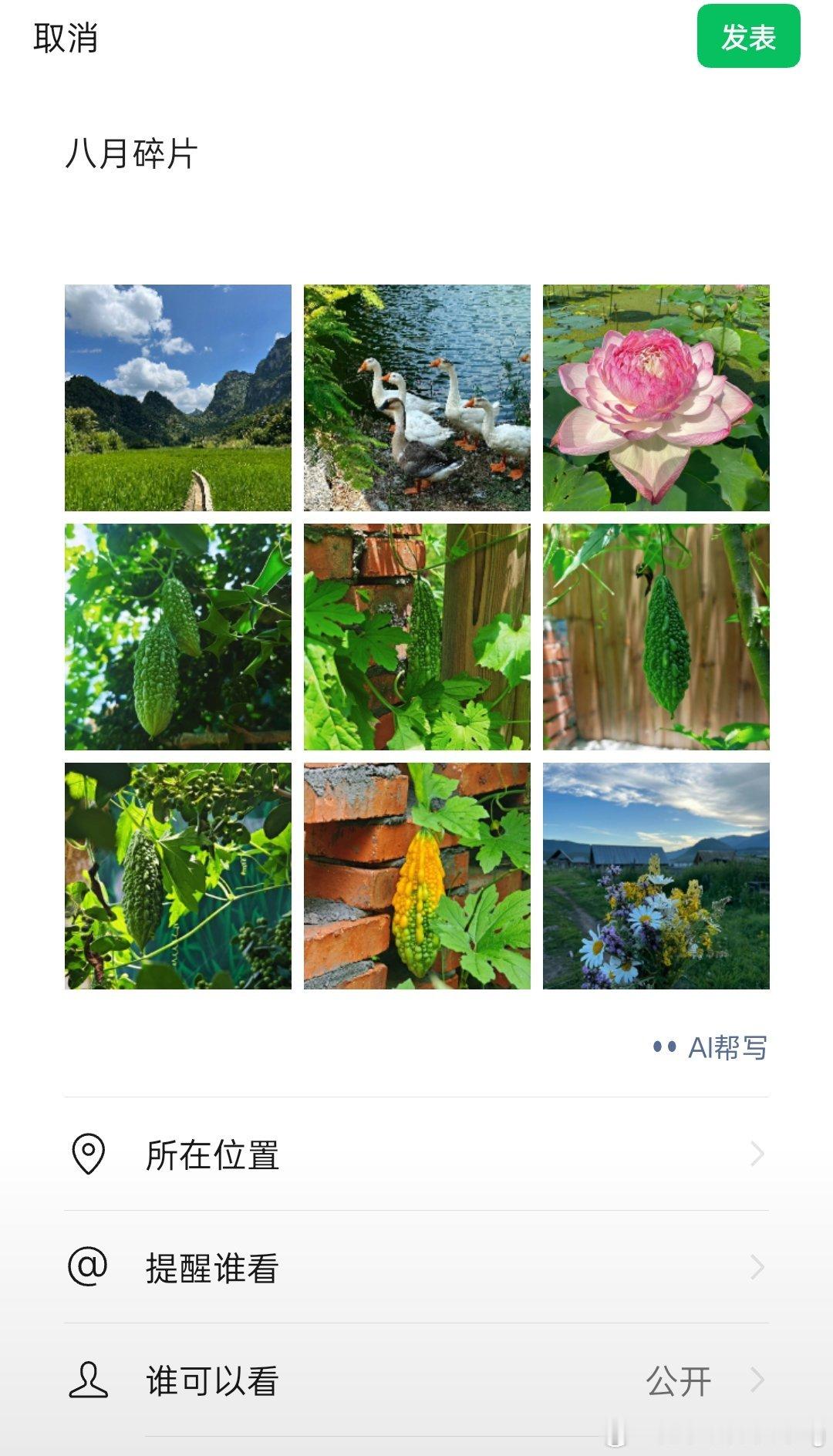 夏天该有的样子，秋天也有 