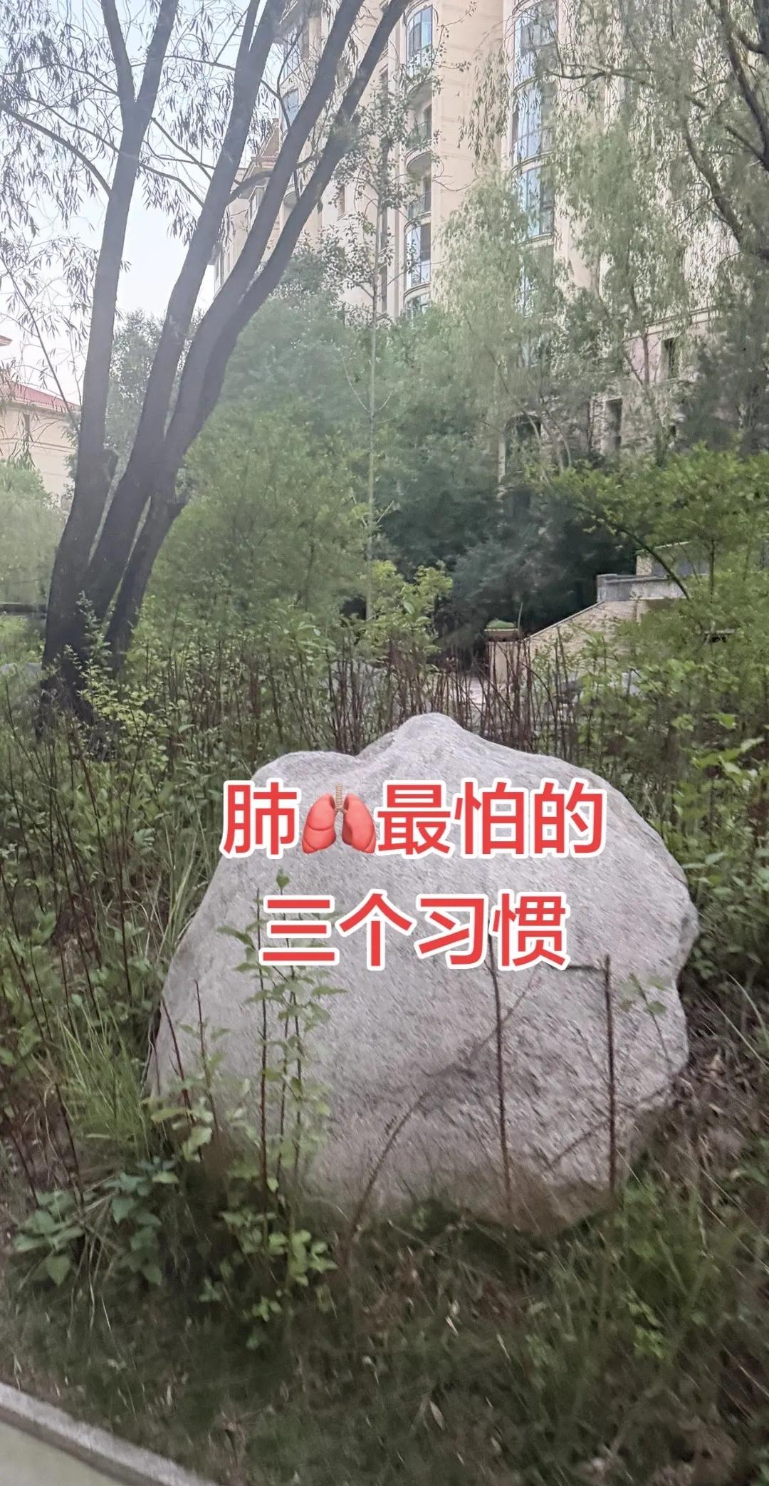 无敌是多么寂寞!2026伦敦世乒赛，国乒男女团双双夺冠!3:2逆转日本、3:0横