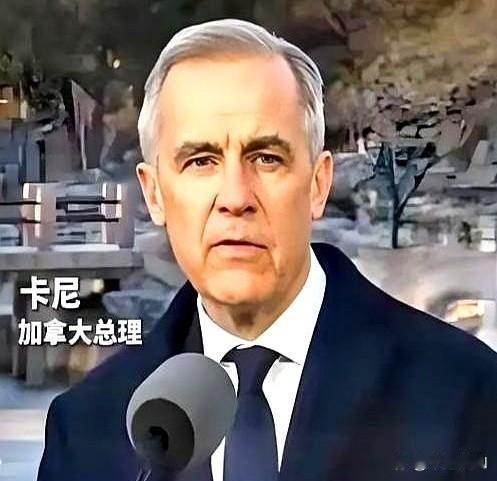 加拿大总理卡尼，亲手撕了剧本。前脚刚跟着美国，把中国电车的关税加到100%，后脚