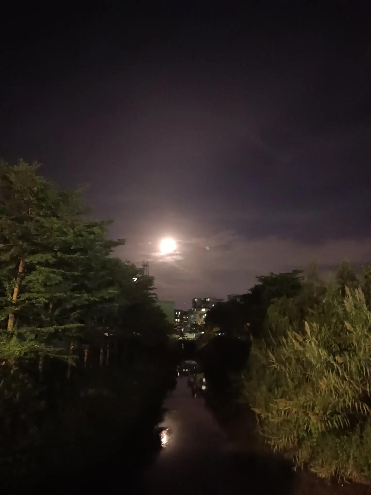 《静夜思》
 更深漏断夜阑珊，独对银釭思万千。
明月窥窗怜影寂，清风拂案叹诗残。
