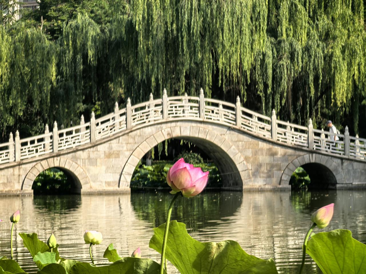 《过刘美中新居》

一一王庭圭（宋）

乱碧峰头水拍堤，白沙寒竹净柴扉。

晨光