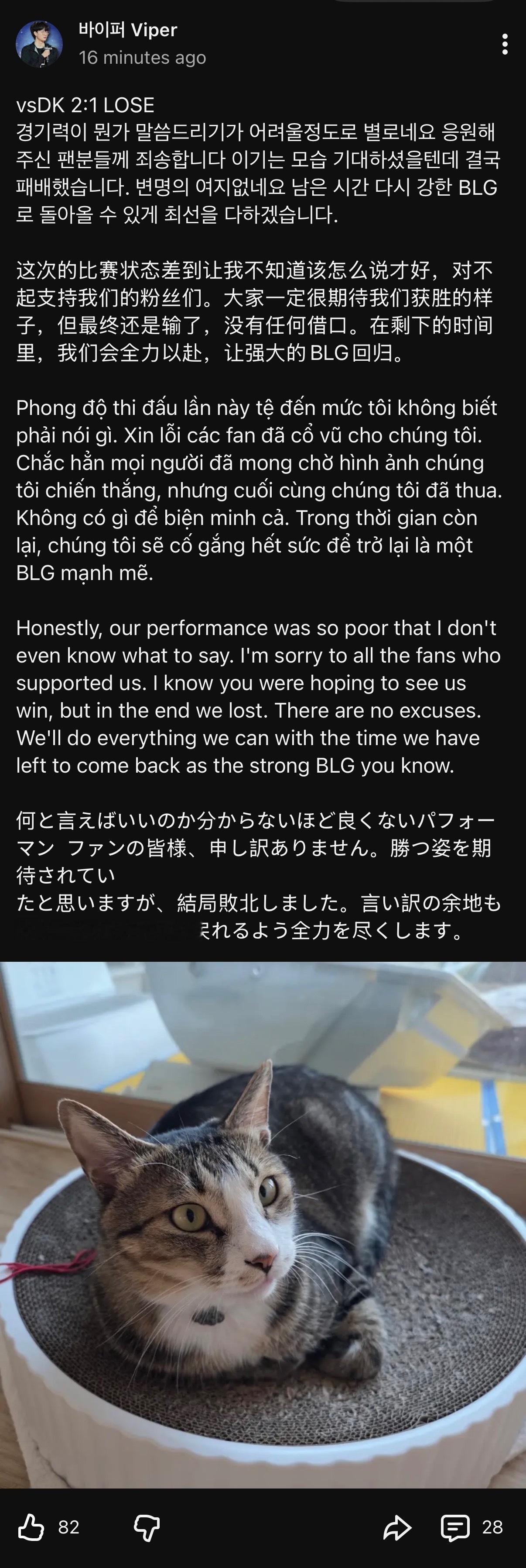 Vipertube在D/K战赛后更新🐍：这次的比赛状态差到让我不知道该怎么说才