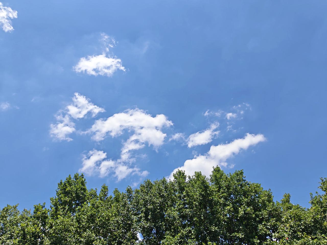 最近特别的喜欢拍天空，
因为看见蓝蓝的天空心情会好很多～
一个人看着天空发呆，
