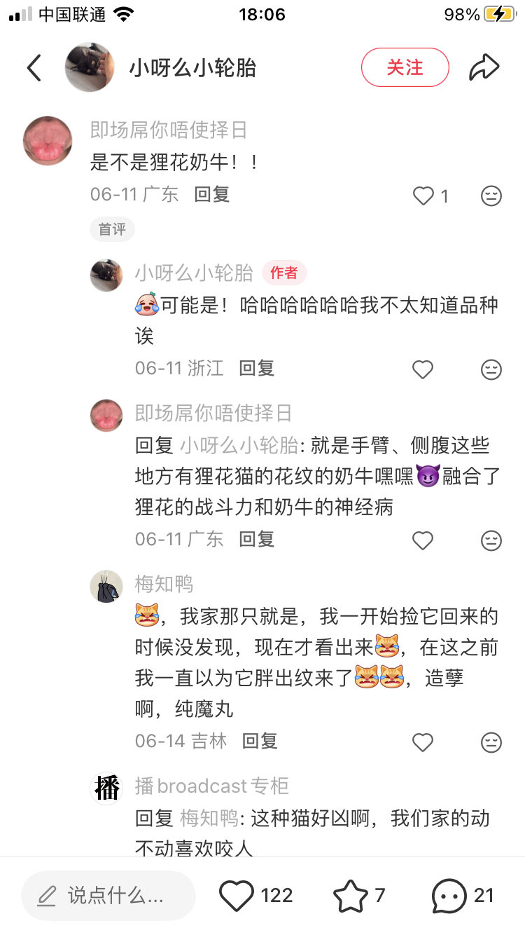 完辣……我家这只就是阳光底下狸花纹特别明显（） 