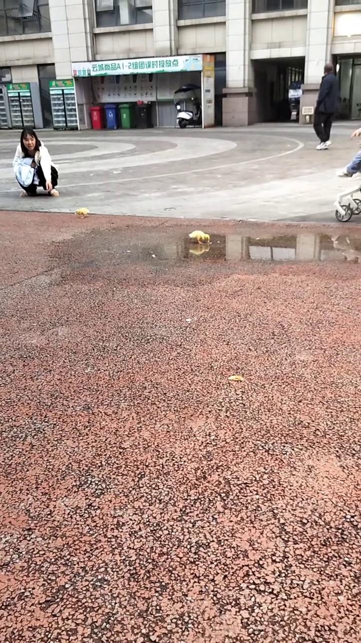 过来，走啦，有水给它脱了就好了。