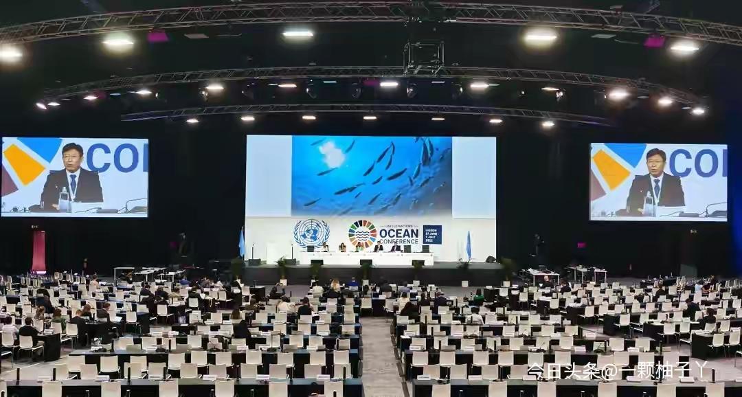 联合国大会投票选2028年海洋大会主办国，结果直接开出“169赞成 vs 2反对