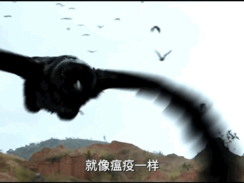 张凯莹被姐控了阿笙就是师姐的头号迷妹，在寻找姐姐的路上，碰到各种事飒爽的样子太爽