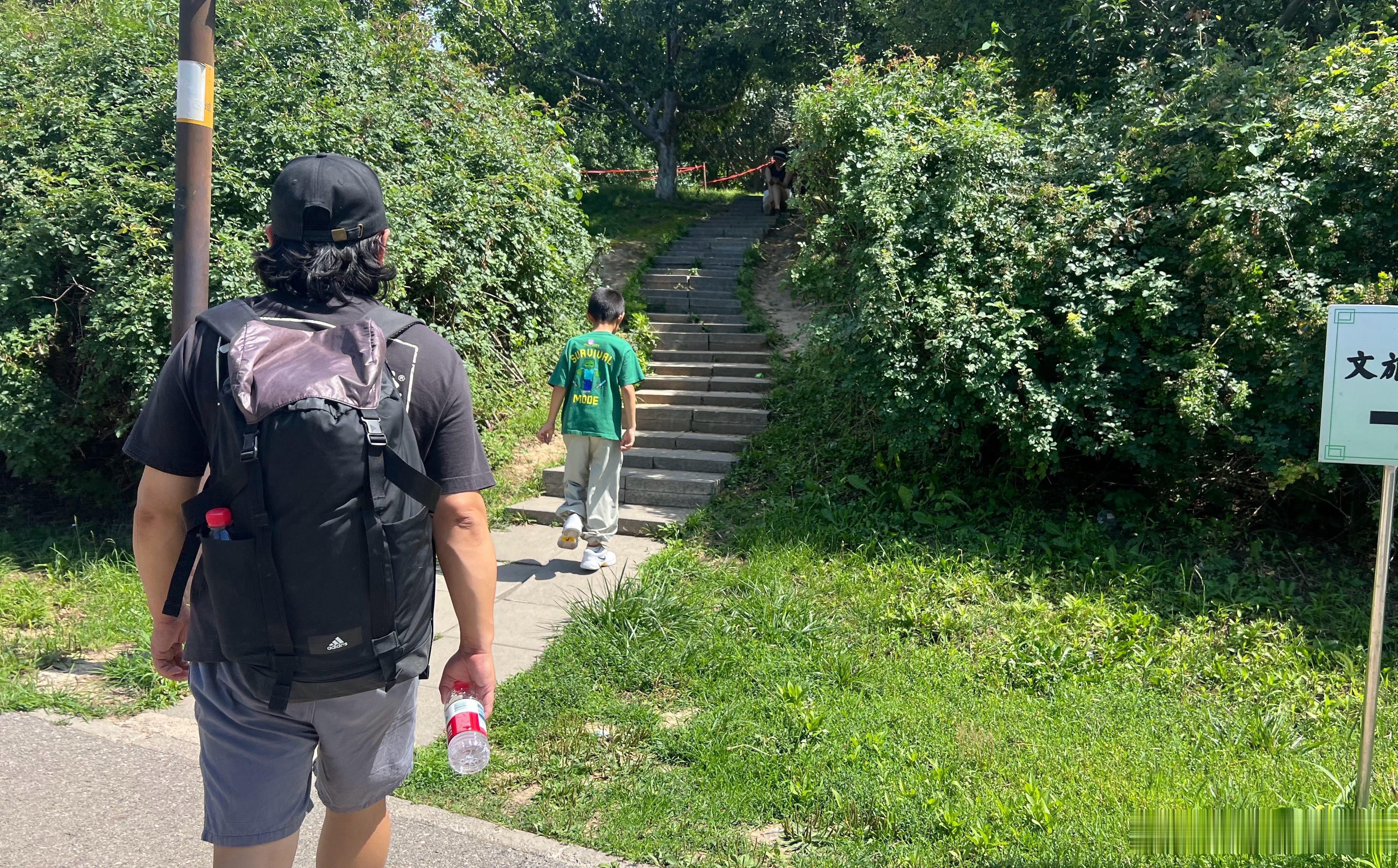 放假三天第一天出来玩在家呆了3天第二天去了趟医院莫名的咳医生也不知道就说过敏引起