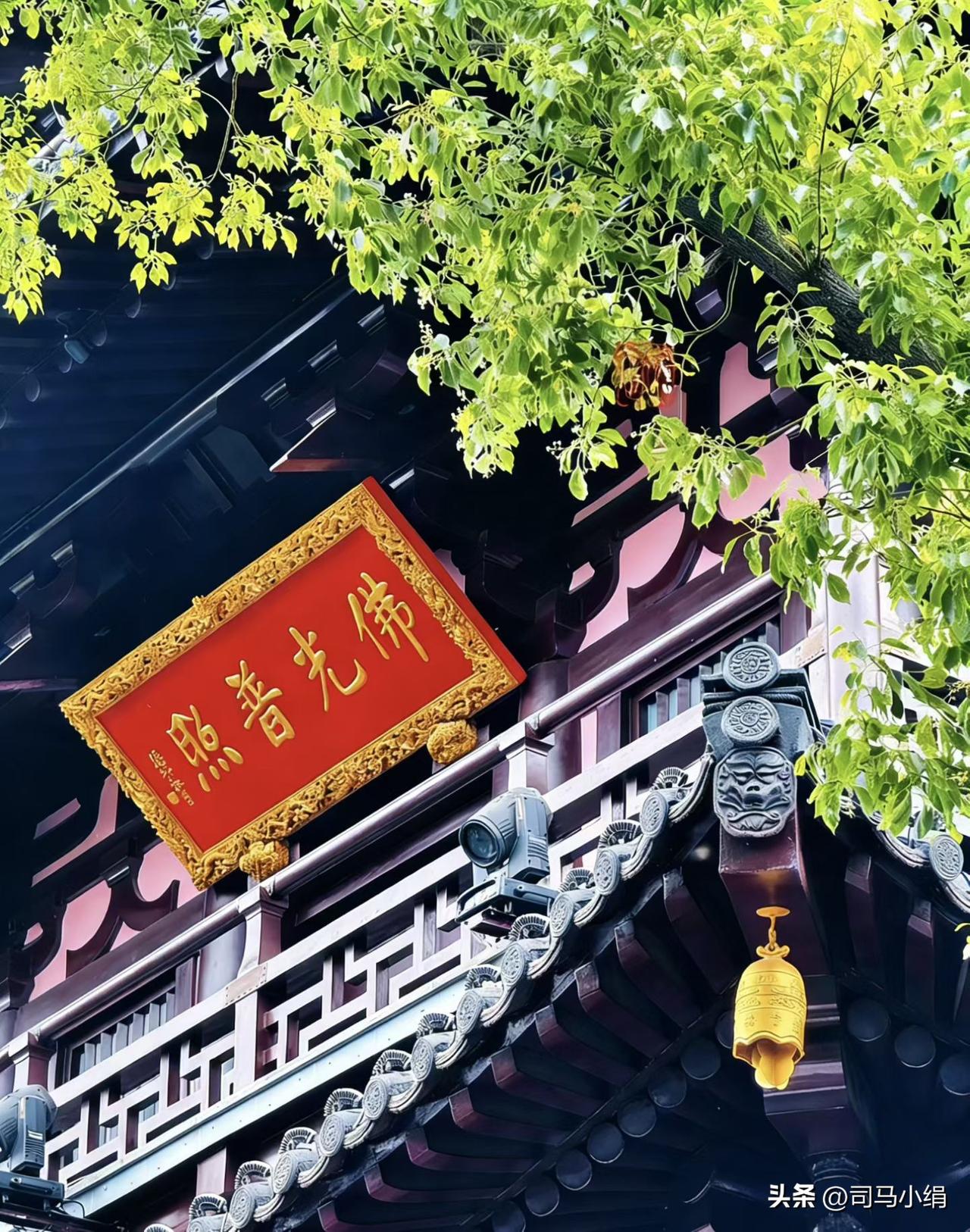 新年爱好打卡佛光普照