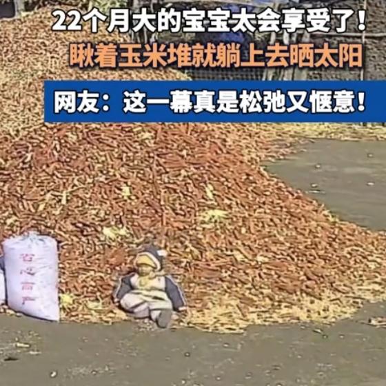 没有滤镜、没有剧本，一段22个月萌娃躺玉米堆晒太阳的监控画面，一夜之间治愈千万人