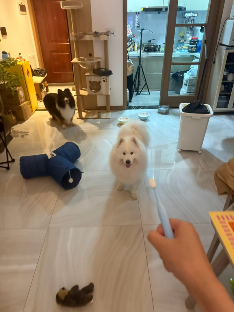 游戏视角： 