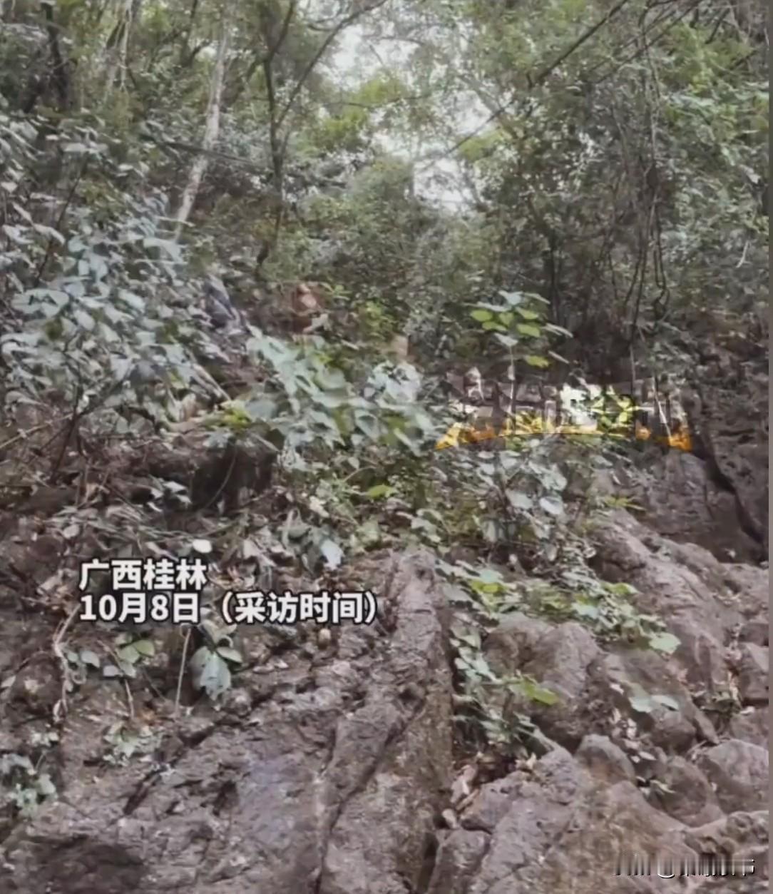 广西桂林一山里，一男子正举着手机拍景。突然，他瞅见山上小孩“噌”地往下摔！他心猛