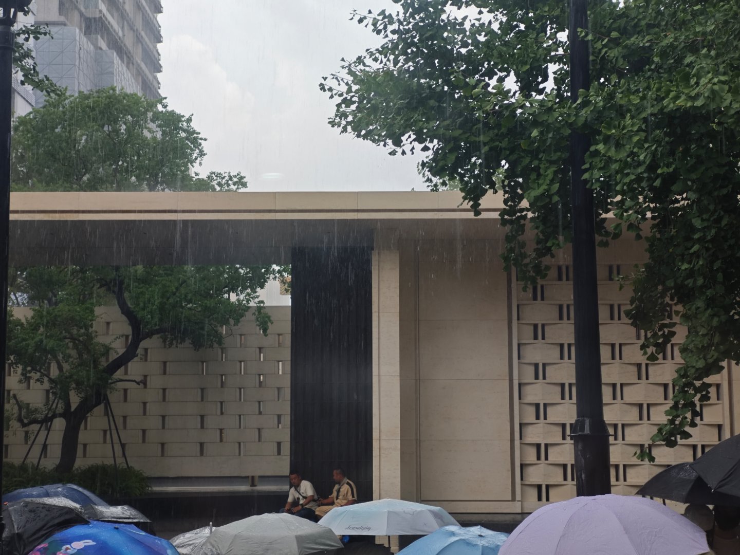 杭州的雨一会泼一大瓢 一会泼一大瓢伦敦未必有杭州忧郁 