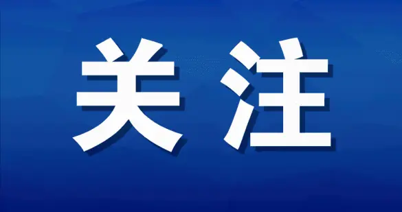 张代强：新质生产力下高校开展就业指导工作的路径研究