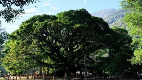 来福州上大学的原因又加一福州大学最好的招生简章不止有绝美的自然景致，福州还有超多