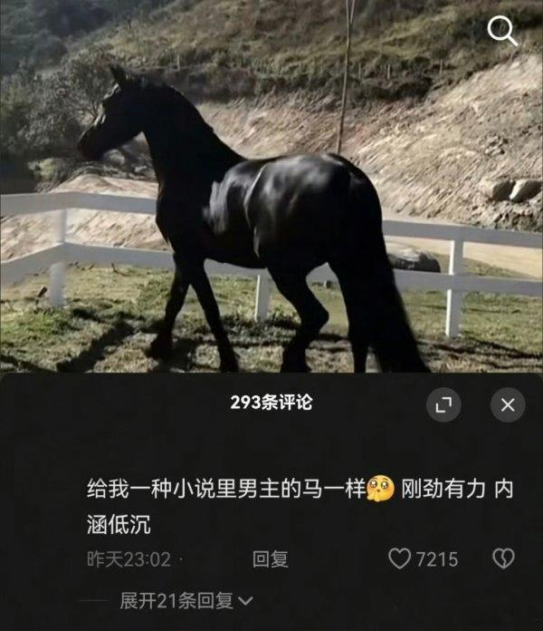 文字里都能看出的，食物，资源，倾斜，现实生活中不知道倒贴了几千年 