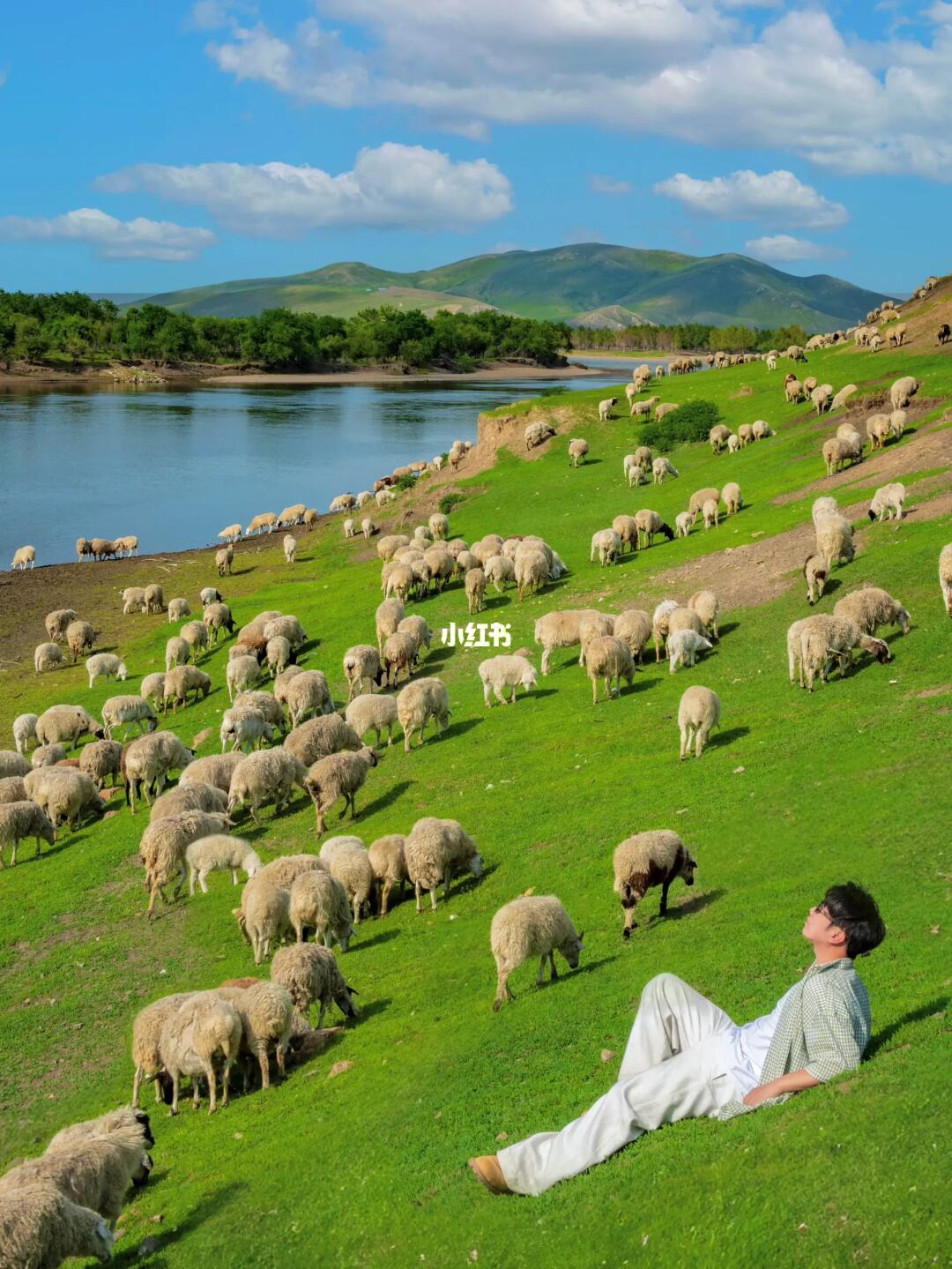 朋友圈问疯了！不是瑞士新西兰，在呼伦贝尔