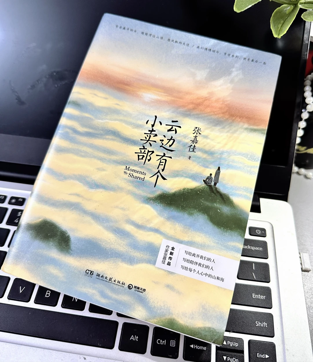 读书 治愈系阅读 云边有个小卖部