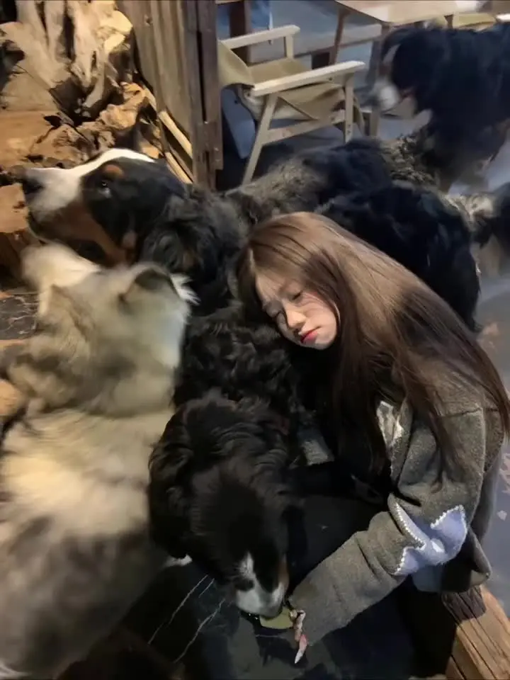 拿什么感动你呢 我只是一个拍照会比耶的笨蛋