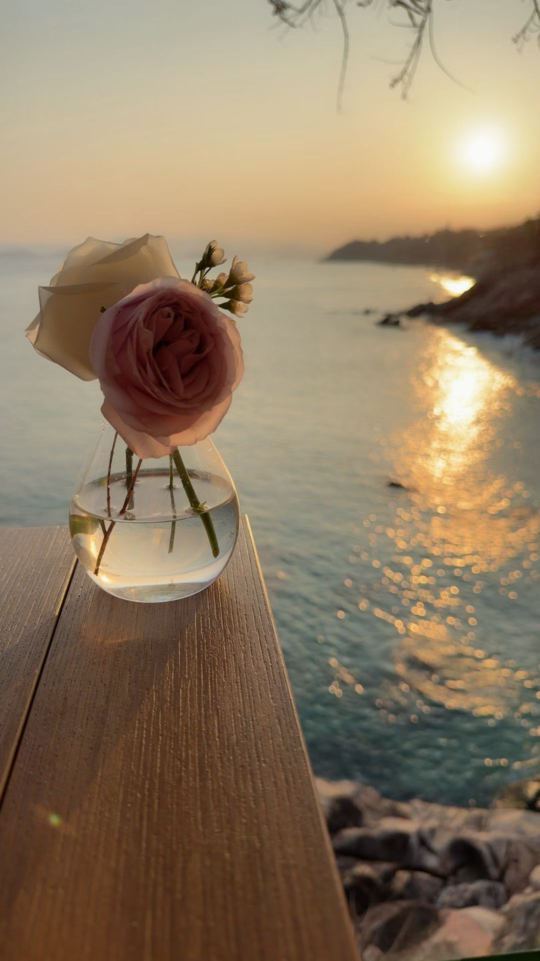 曾经以为温柔是一种性格，后来才发现，温柔是一种能力，它贯穿了一个人的修养和认知，