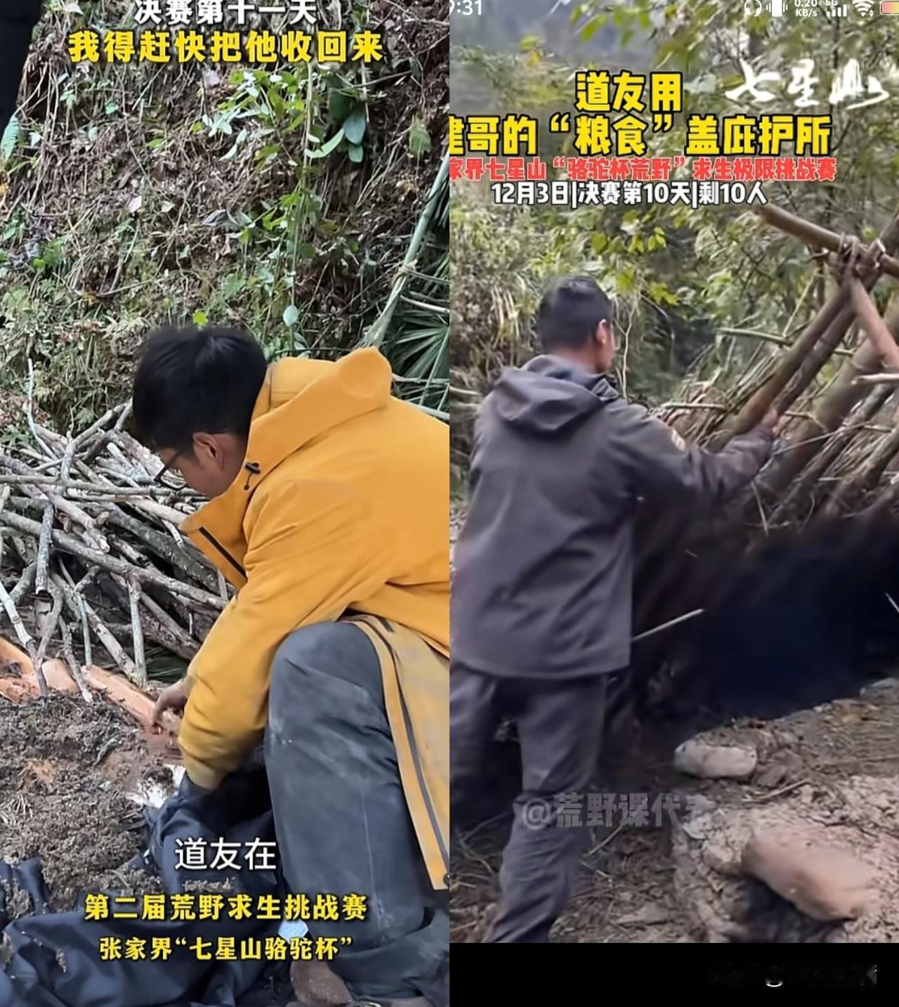 建哥终于发现他的粮食被截胡了，建哥用来当粮食的草籽，被道友拿来盖房子，建哥估计内