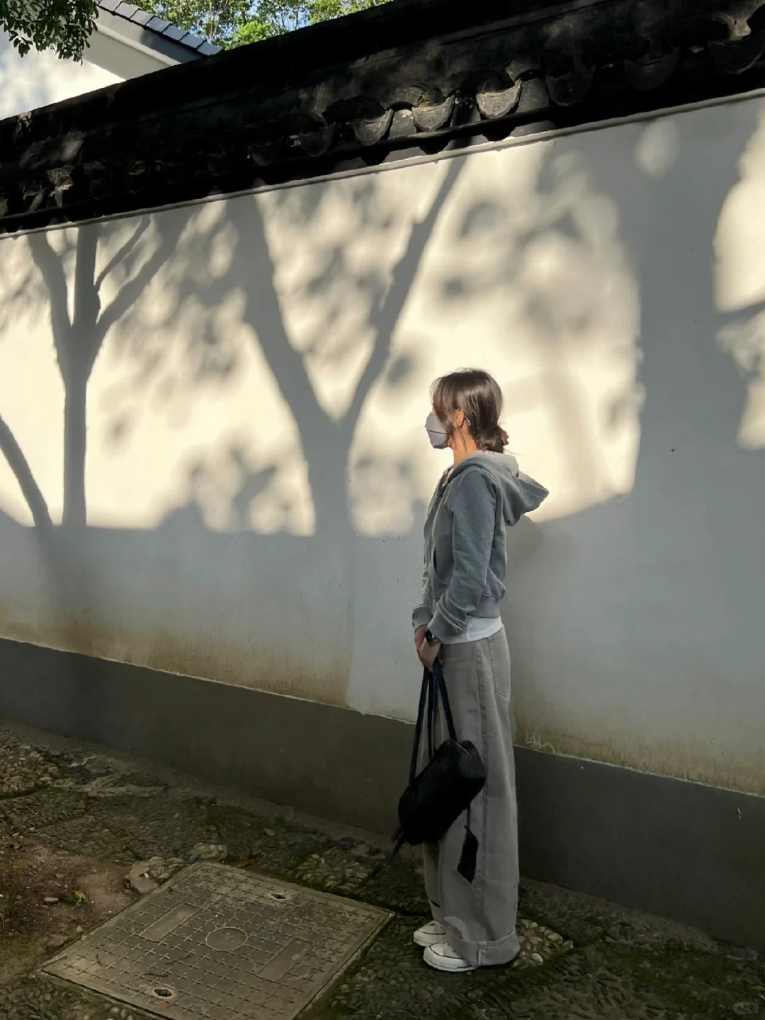 秋来/赏桂