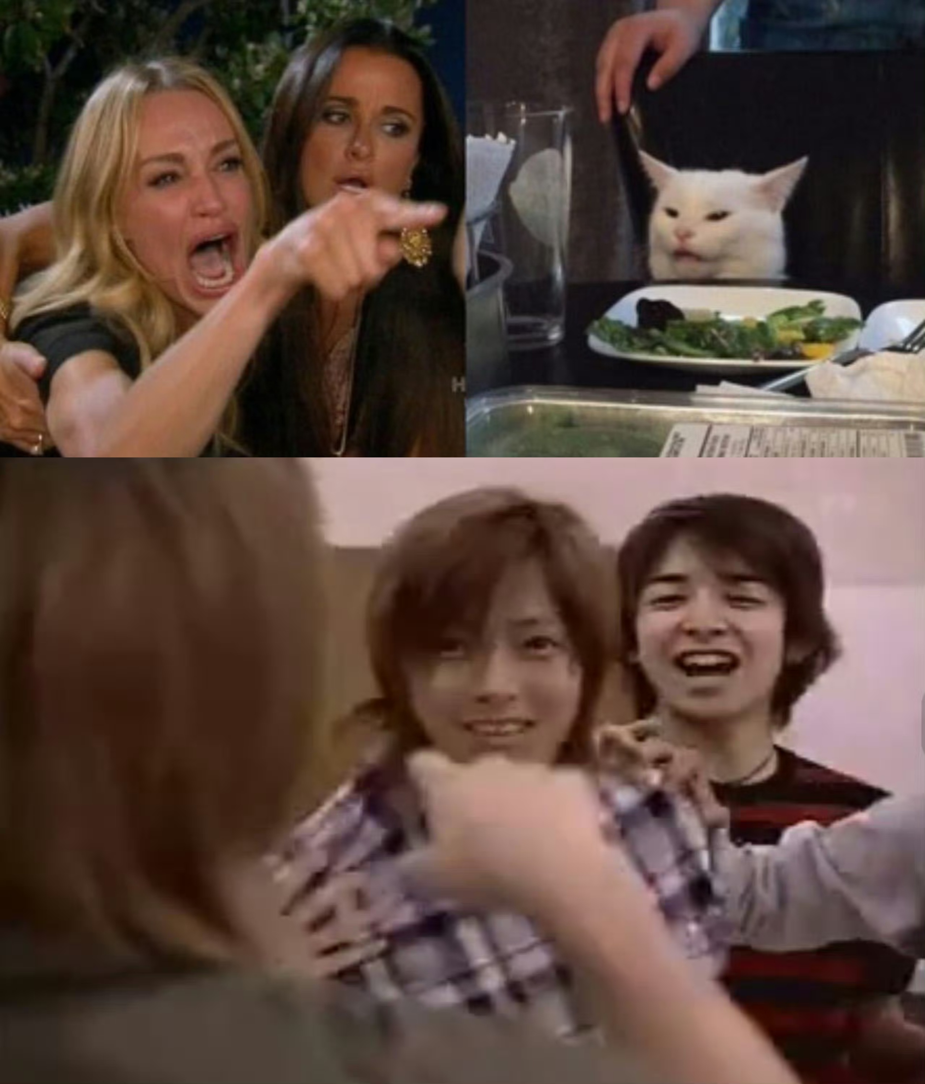 不造为啥会想到这个meme猫猫能有什么错呢🥺 ​​​