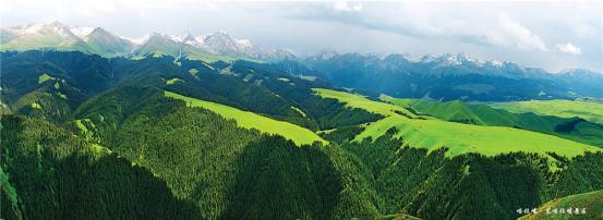 中国最美草原之一、新疆必去的景点之一——喀拉峻风景区，你去过吗？

喀拉峻风景区