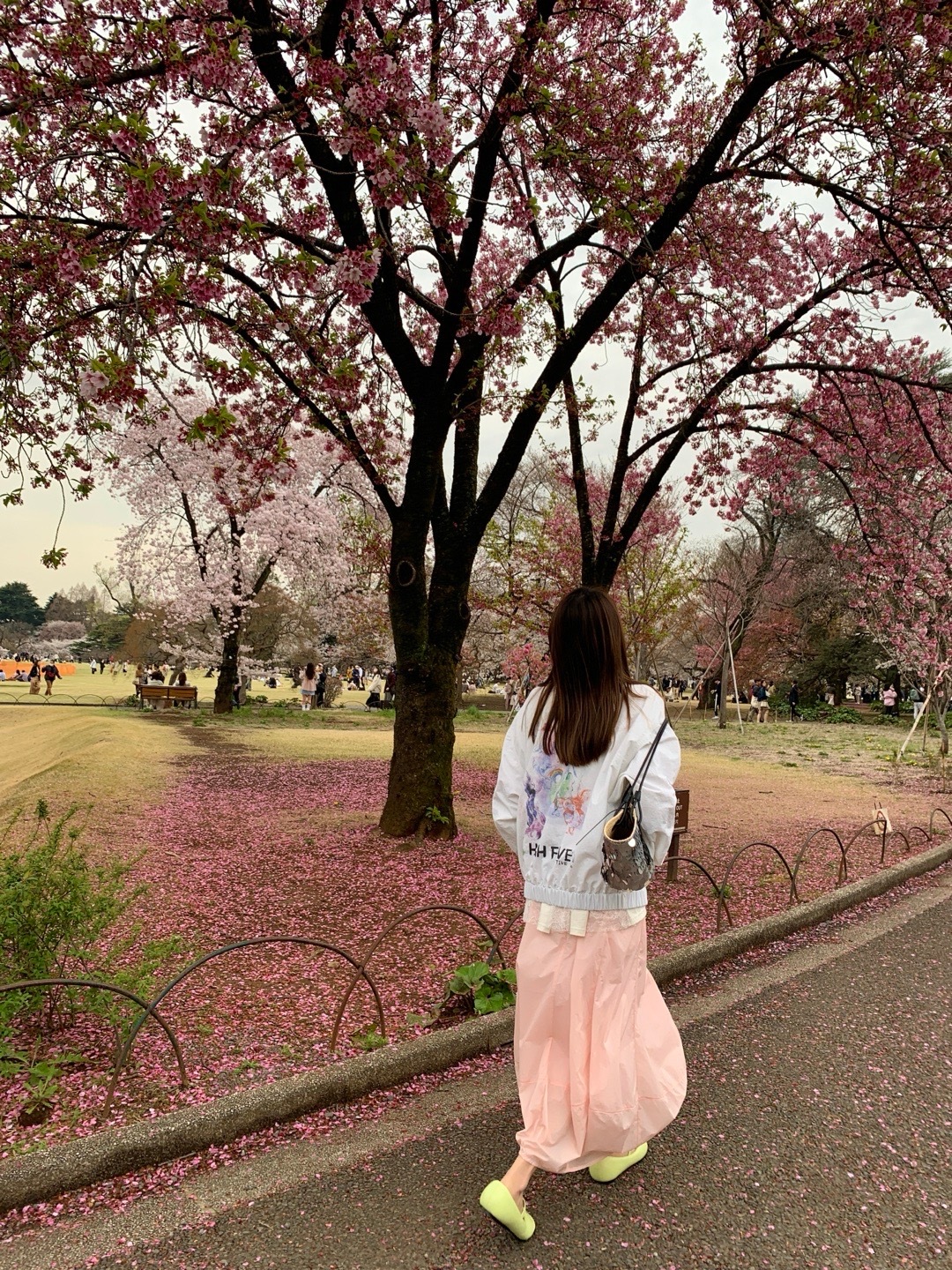 东京𝐩𝐥𝐨𝐠  看樱花 生活还有被忽视的细微美好啊 ​​​