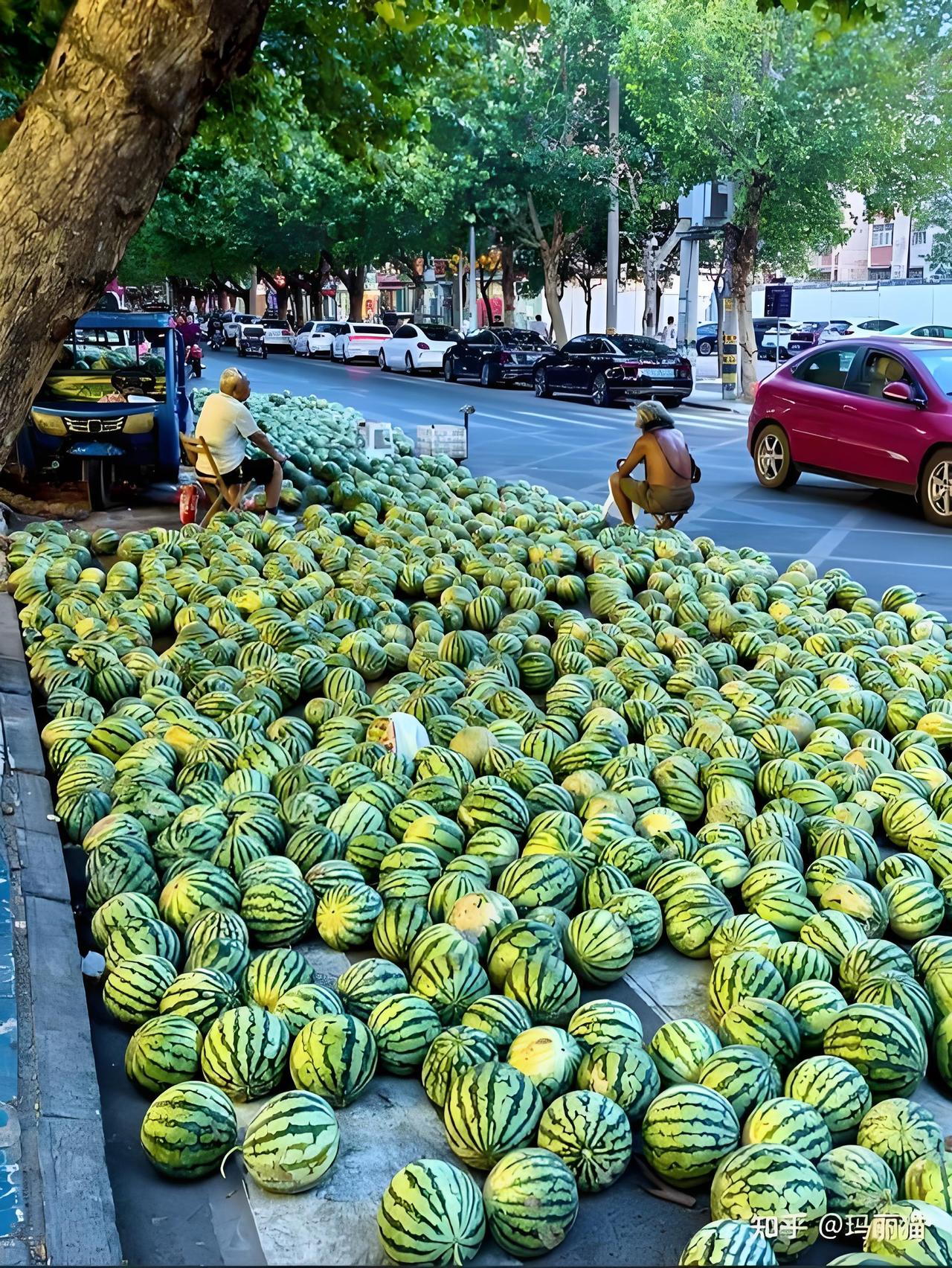 现在为什么老百姓都不愿意吃西瓜，其实瓜农们比谁都清楚！各种高科技狠活拼命的往西瓜