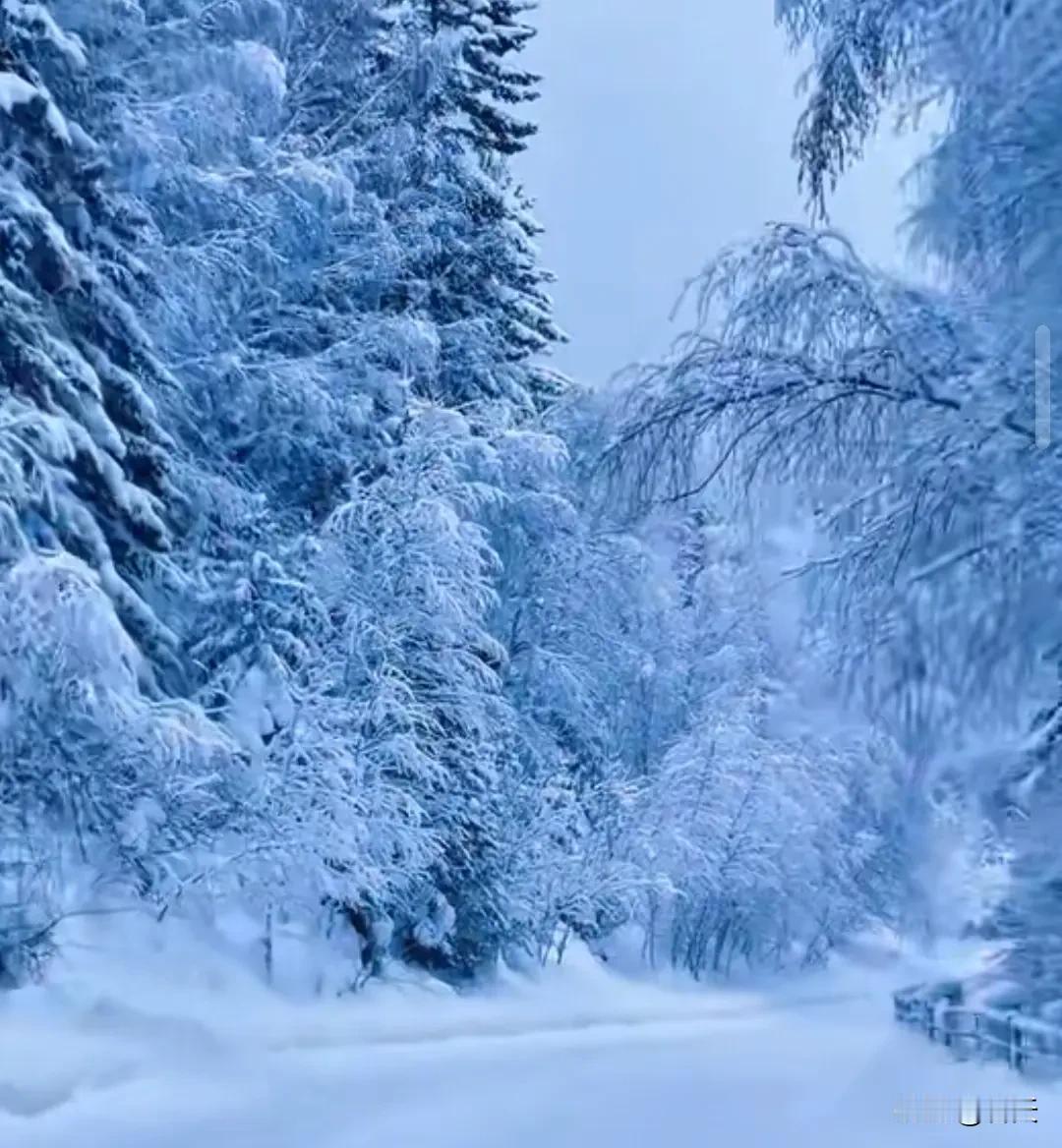 自渡：以己为光
 
成年人的世界，关系本质是价值互换。若暂时无法为他人带去光热，