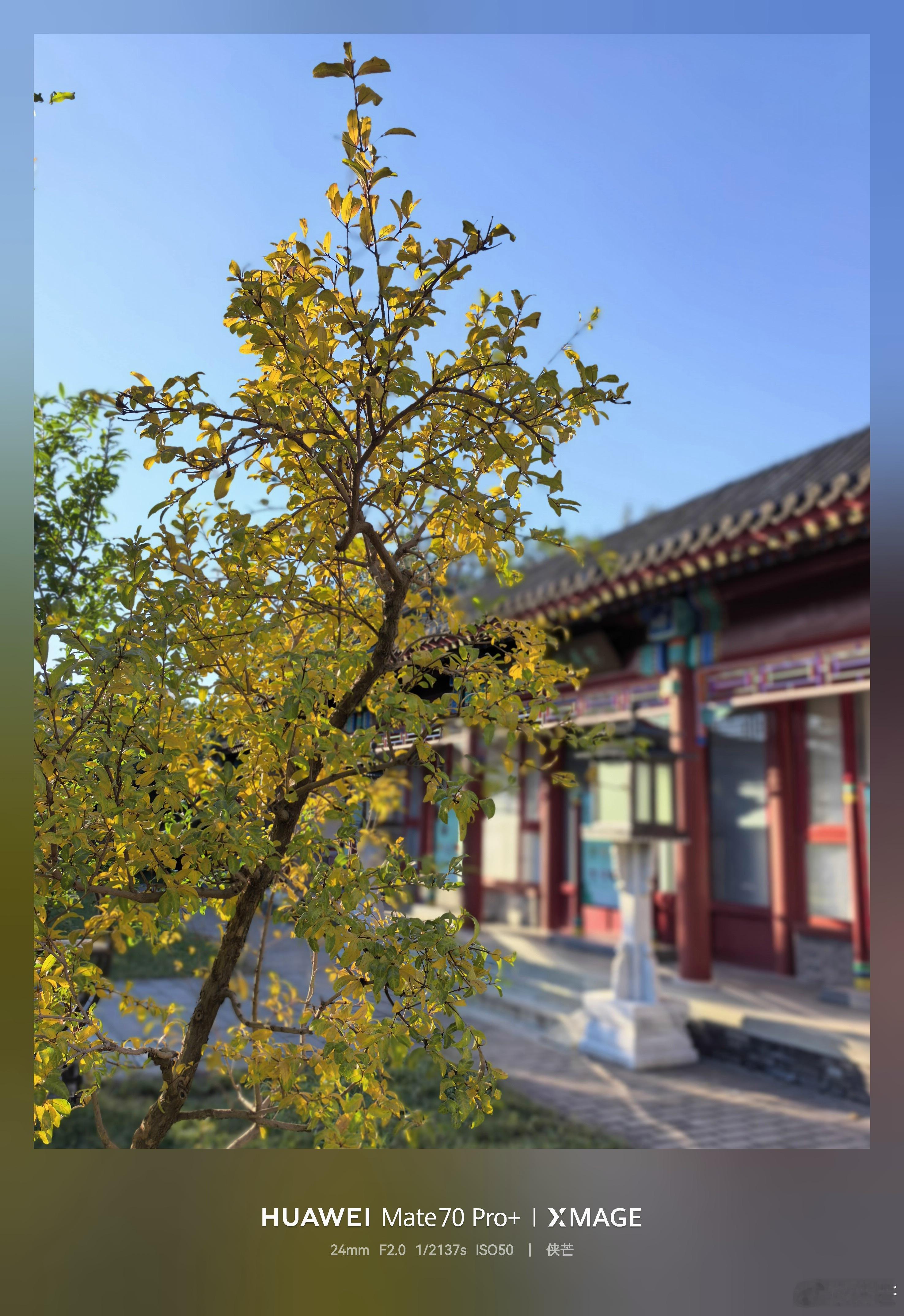 北海公园 秋色        霜降时节，万物披彩，北海公园悄然换上了浓墨重彩的秋
