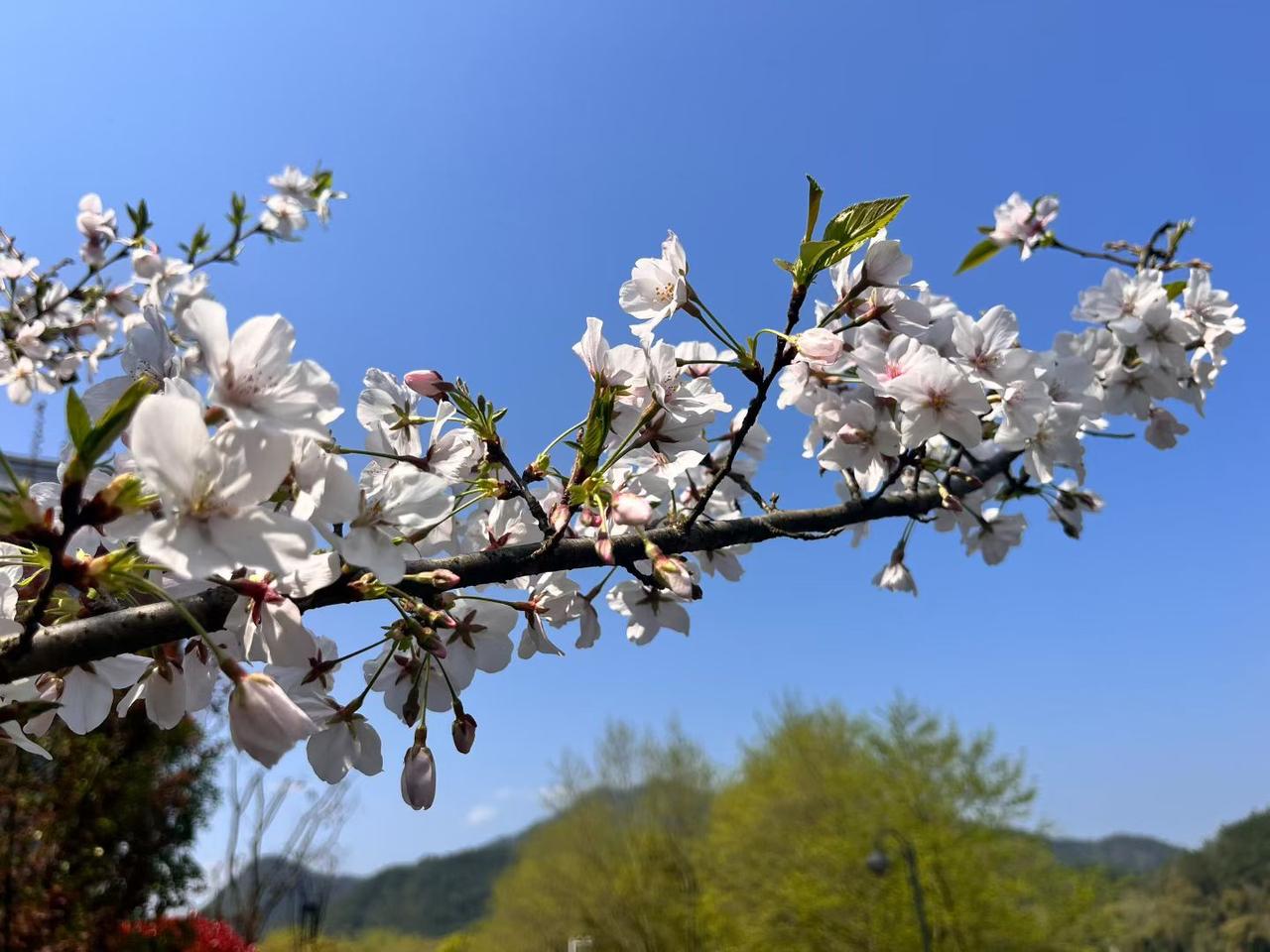 ☀️
美好的一天开始啦！

别把希望寄托在“哪一天”，把希望放进“每天”。
