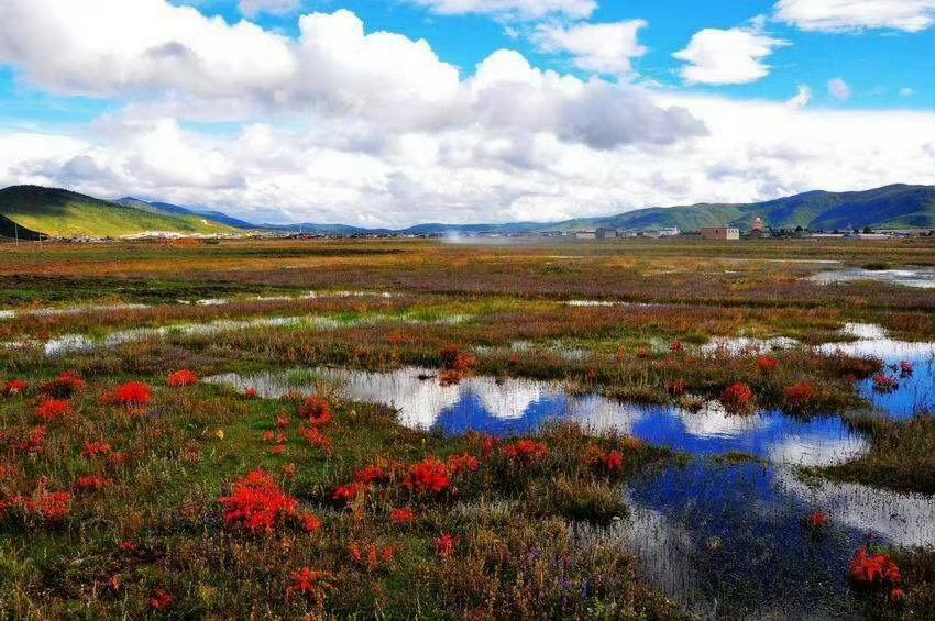 纳帕海｜香格里拉的眼泪      你知道香格里拉，却不一定知道纳帕海。纳帕海藏语