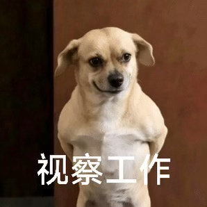 驹的比赛开始了，有人在看吗[拜托]不可驯服门兴格拉德巴赫[超话] ​​​