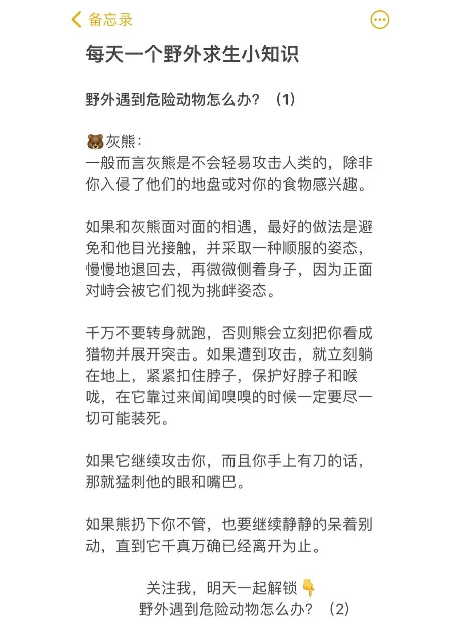 野外求生之遇到熊怎么办？
