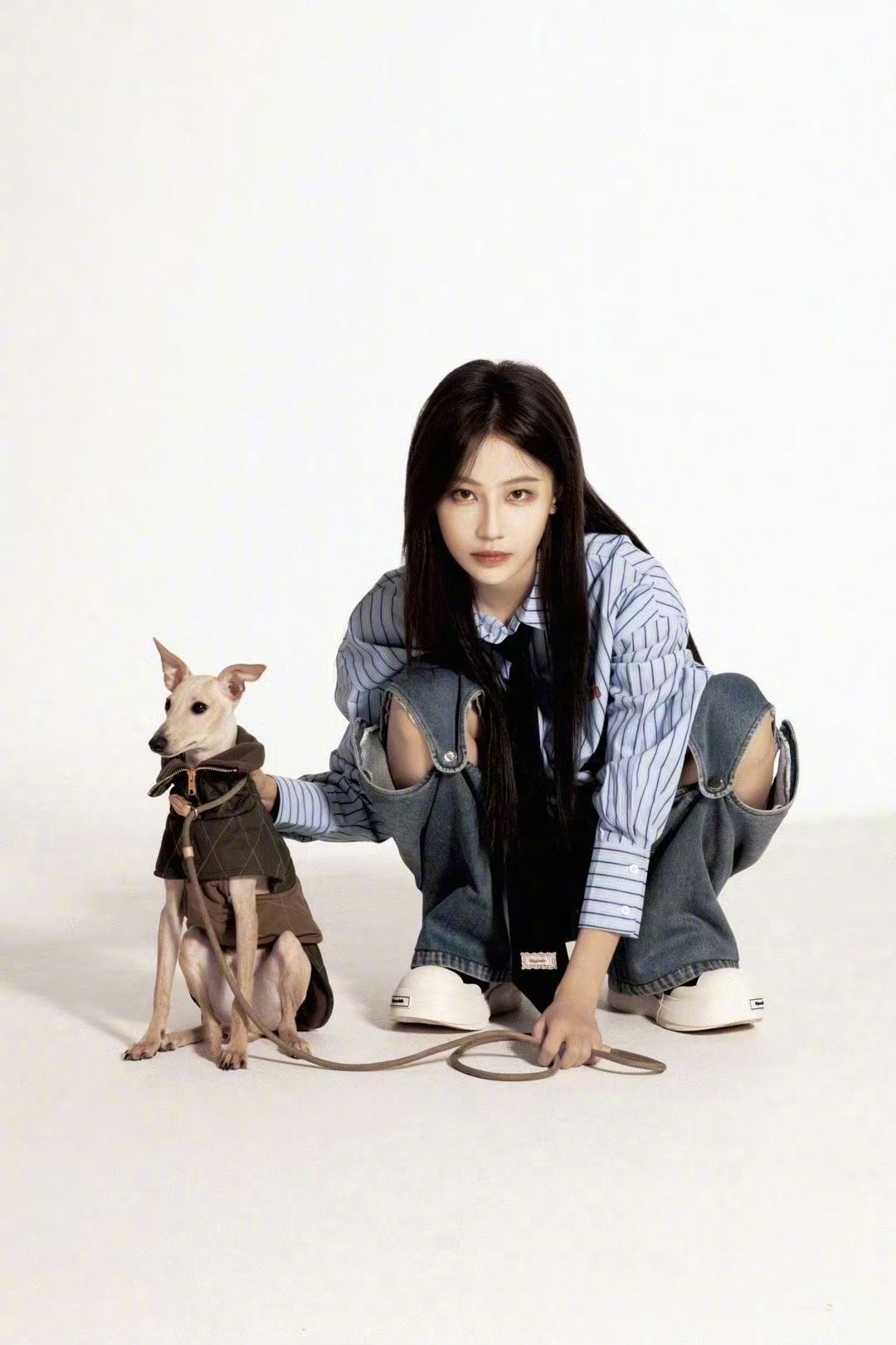 袁一琦的萌宠自驾旅行综艺《十七号出发》 筹备中期待与品牌爸爸一起开启这场可爱的旅