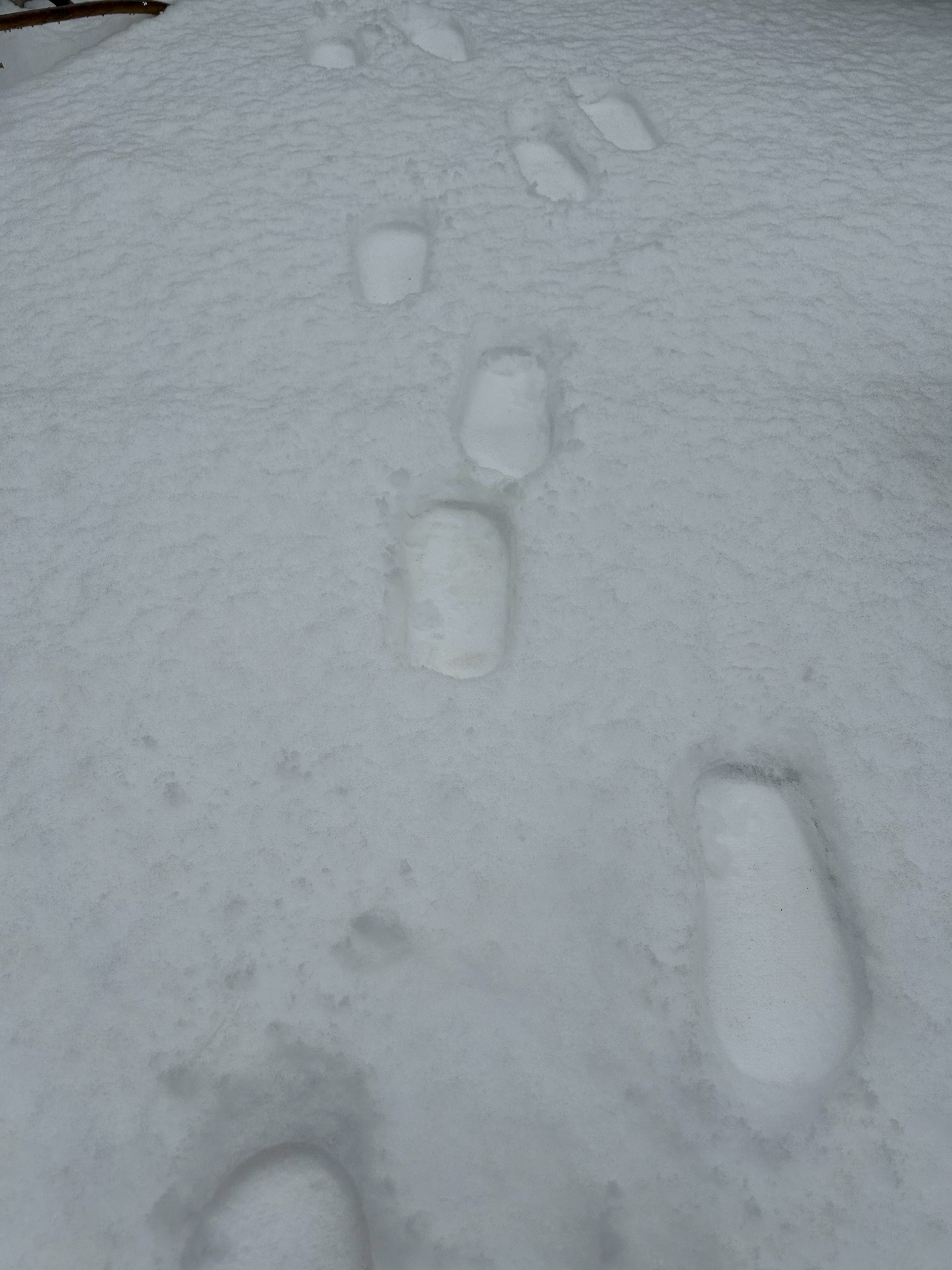 正月十五的雪下的真不小 