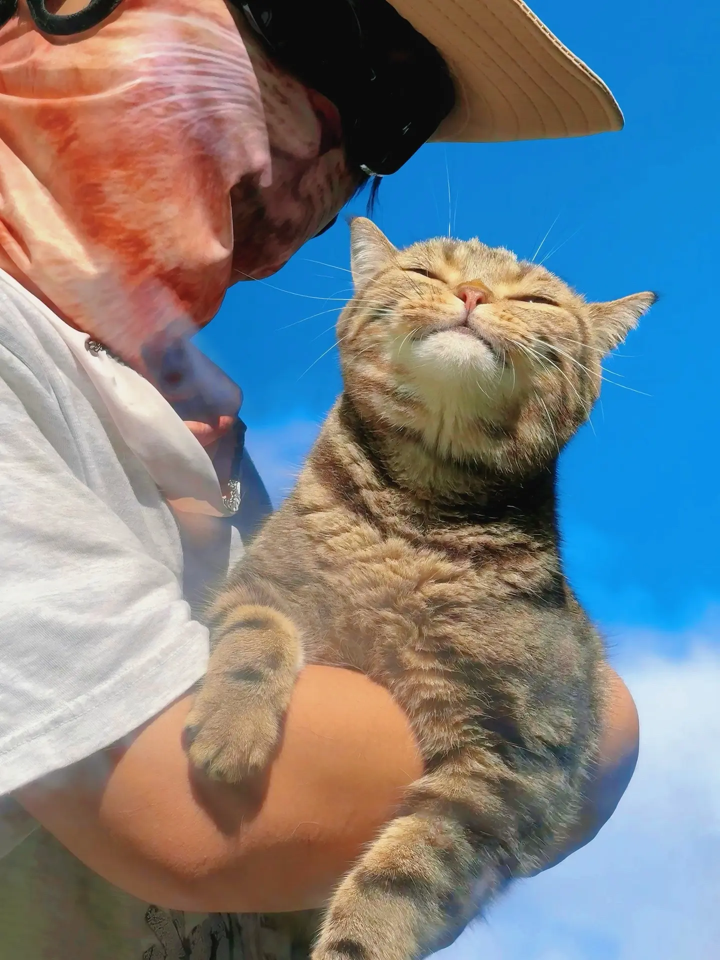 巧了刚好我穿了白色搭配了蓝天跟小猫。猫子猫子你好乖