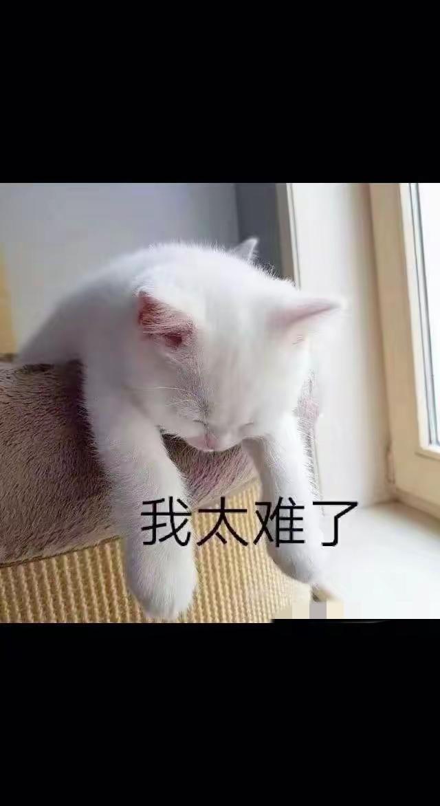 想保持快乐心情，可别陷入比较的陷阱。就像刷朋友圈，看到老同学度假、同事换车、邻居