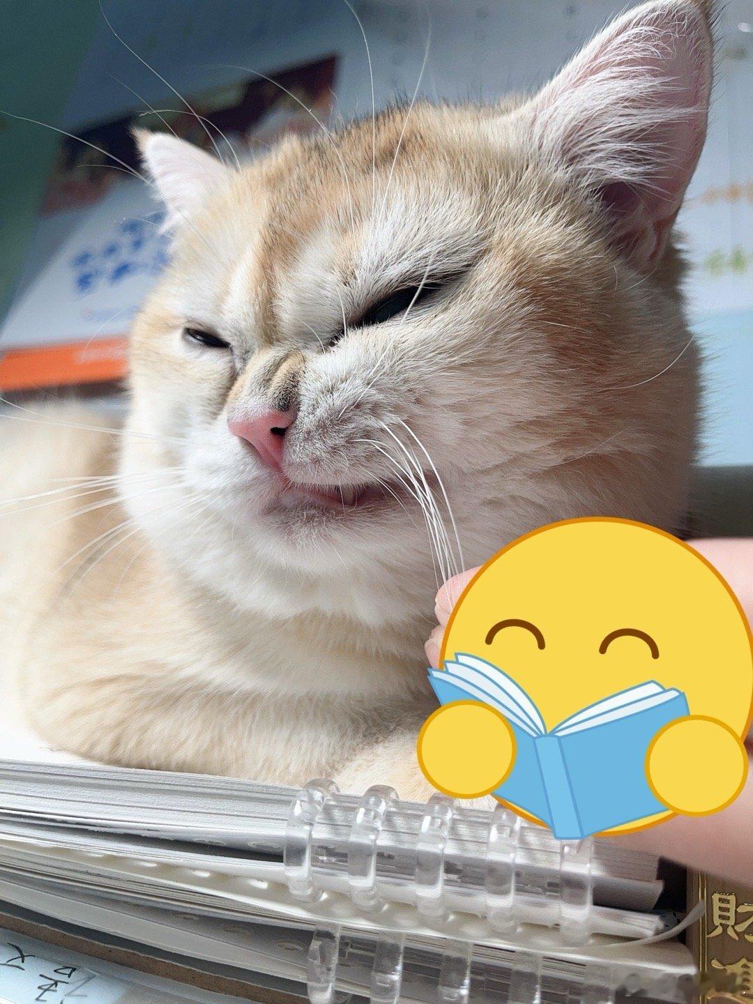 生活手记你好同学