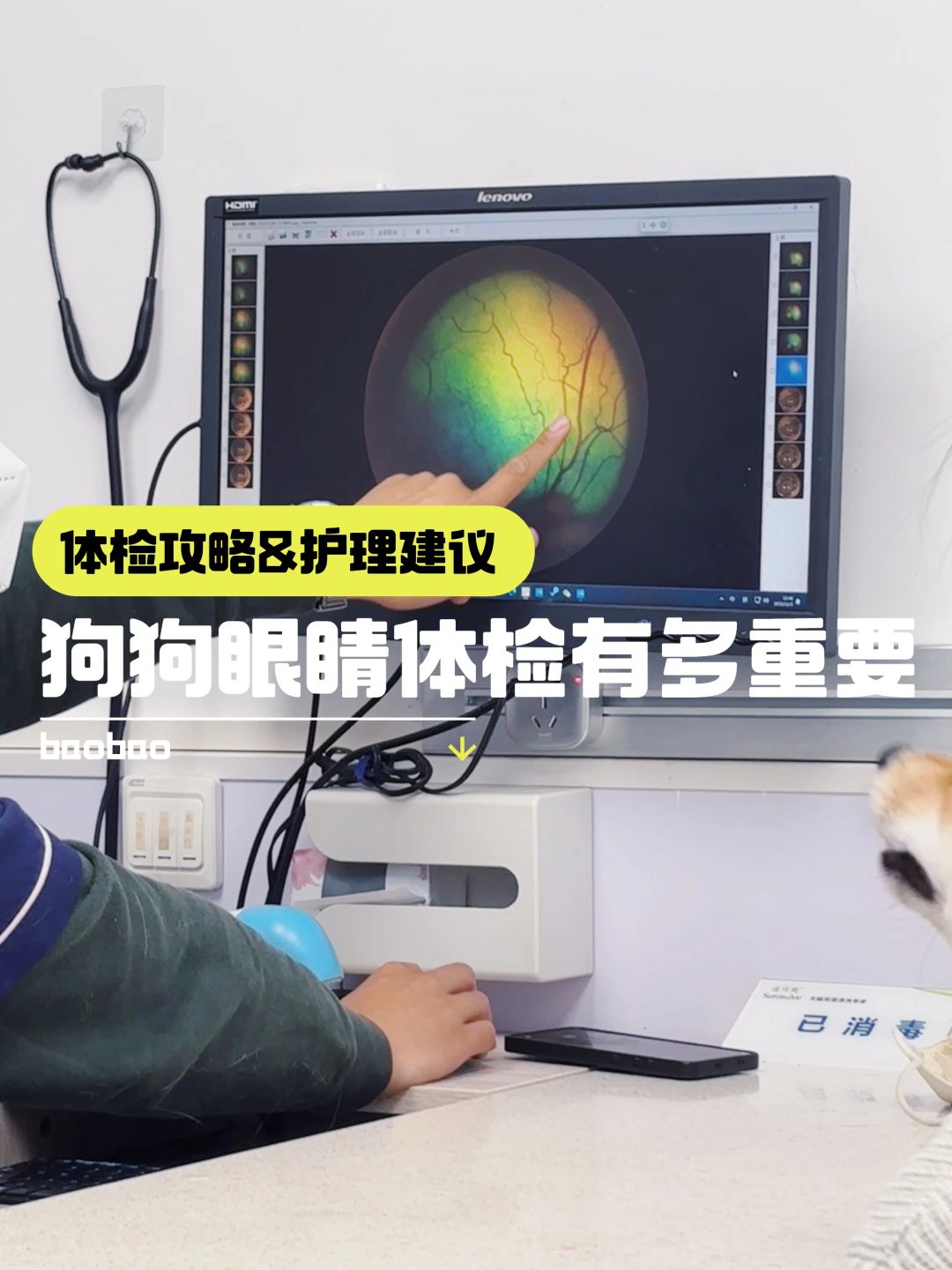 长文预警｜小狗请务必务必做眼睛体检‼️