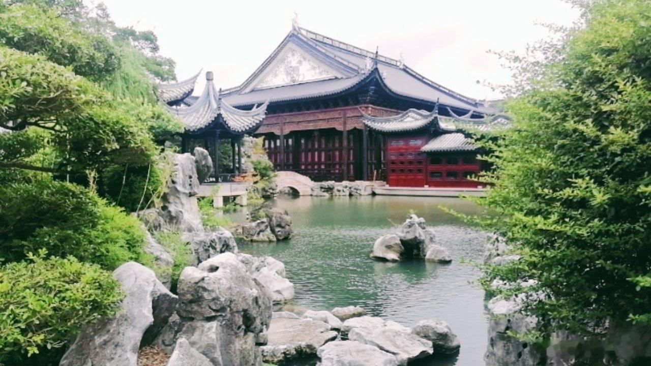 夏日遊园饮茶 上海