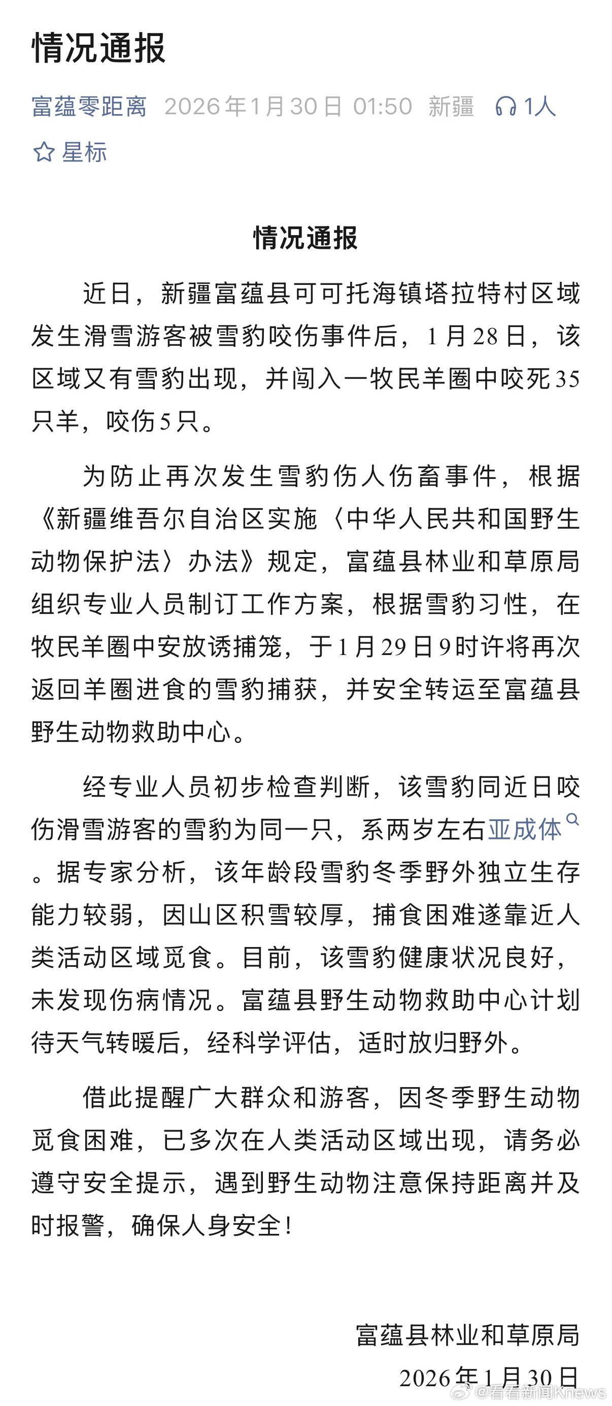 【#新疆通报咬人雪豹已被捕#】#新疆咬人雪豹又咬死35只羊#富蕴县林业和草原局2